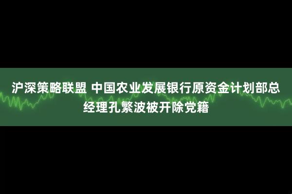 沪深策略联盟 中国农业发展银行原资金计划部总经理孔繁波被开除党籍